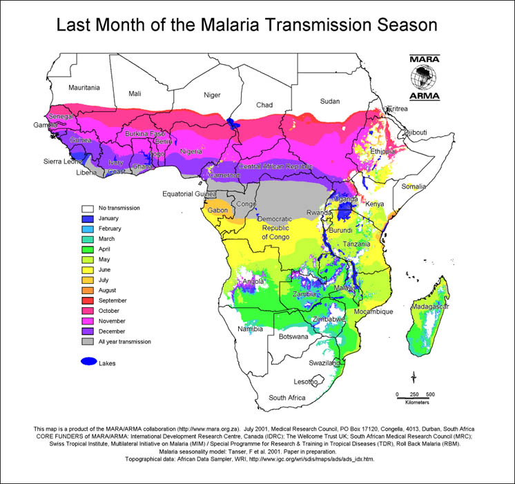 Malaria In Africa 48